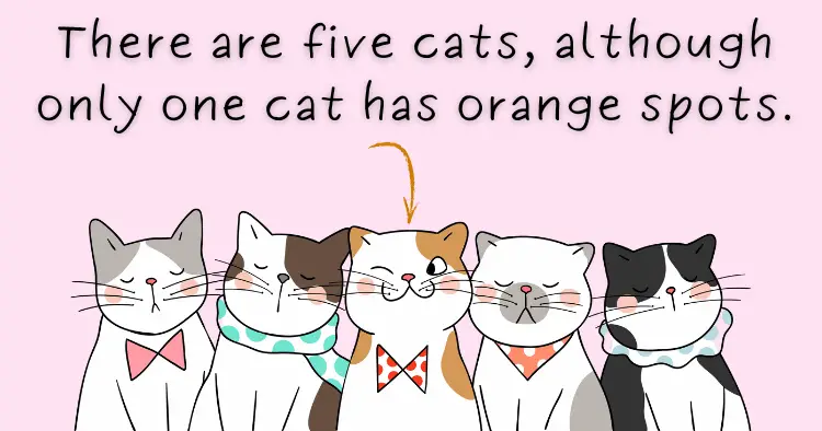 although only one orange cat
